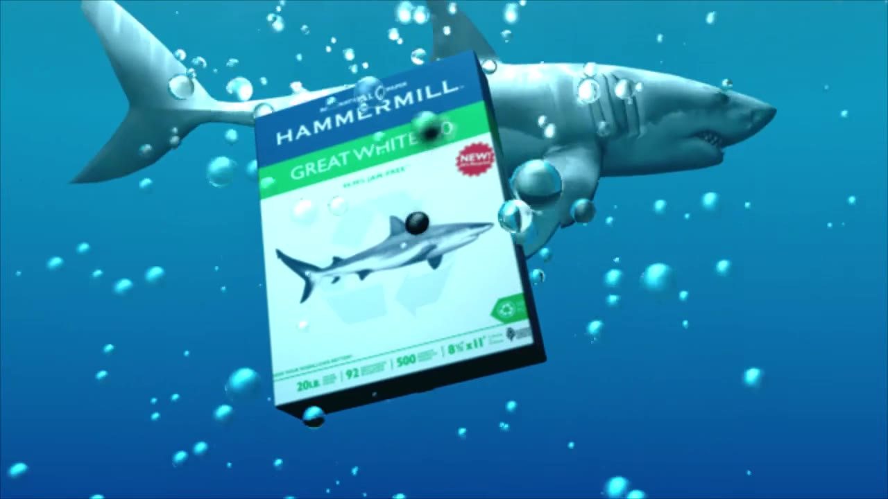 Hammermill Great White 50 spot